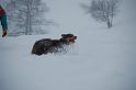 DSC_0025 (2)